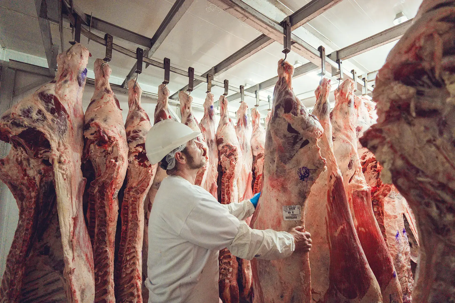 Don Omar, Carnes de Calidad